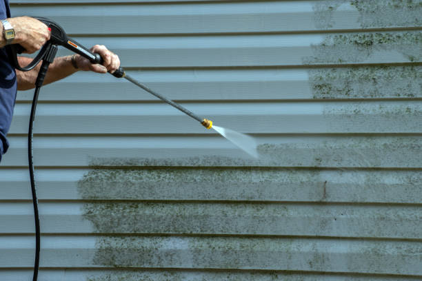 Best Solar Panel Cleaning  in Riddle, OR